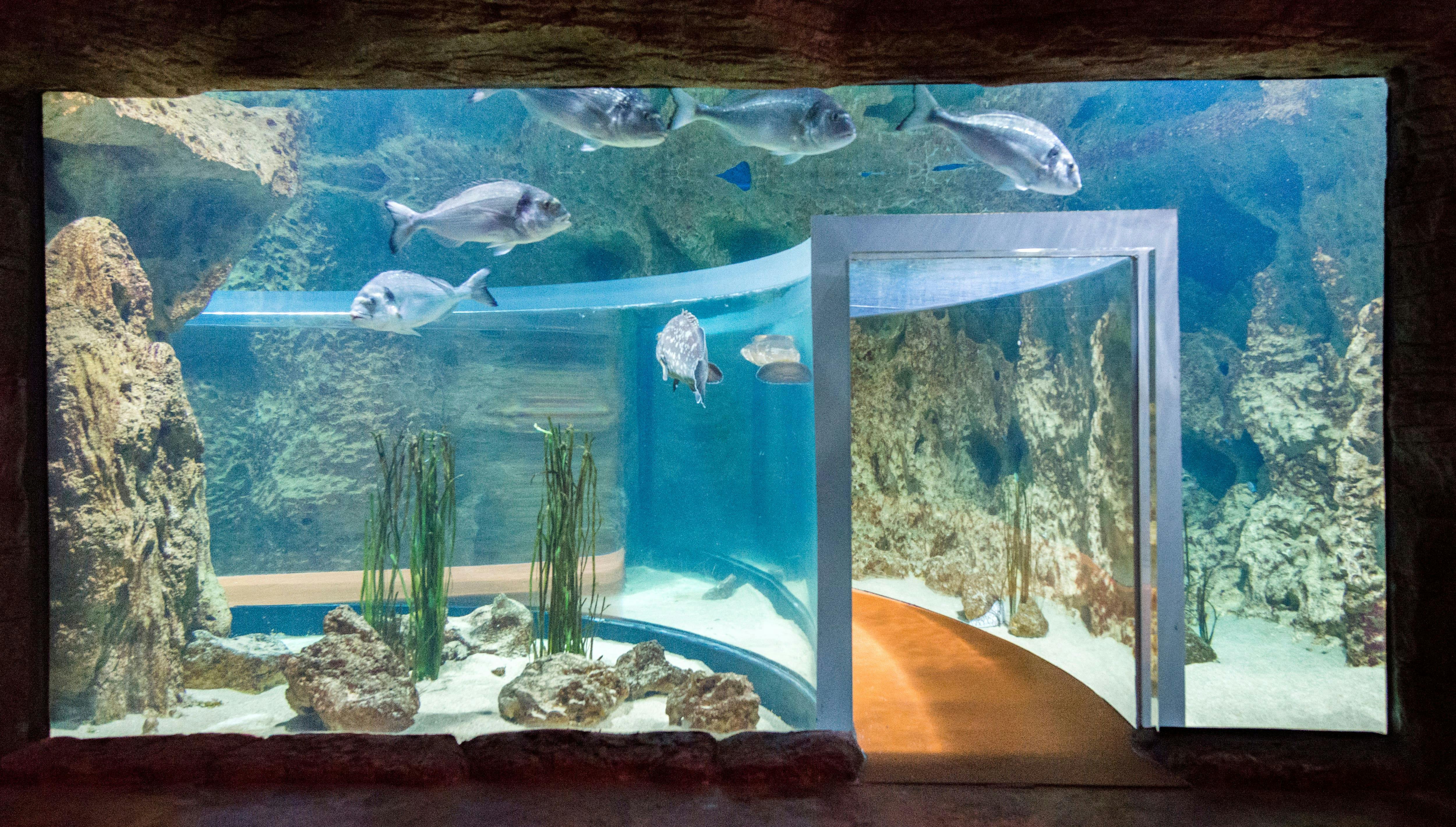 Malta National Aquarium Ticket