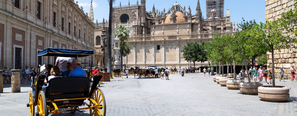 Seville City Tour & Shopping Experience