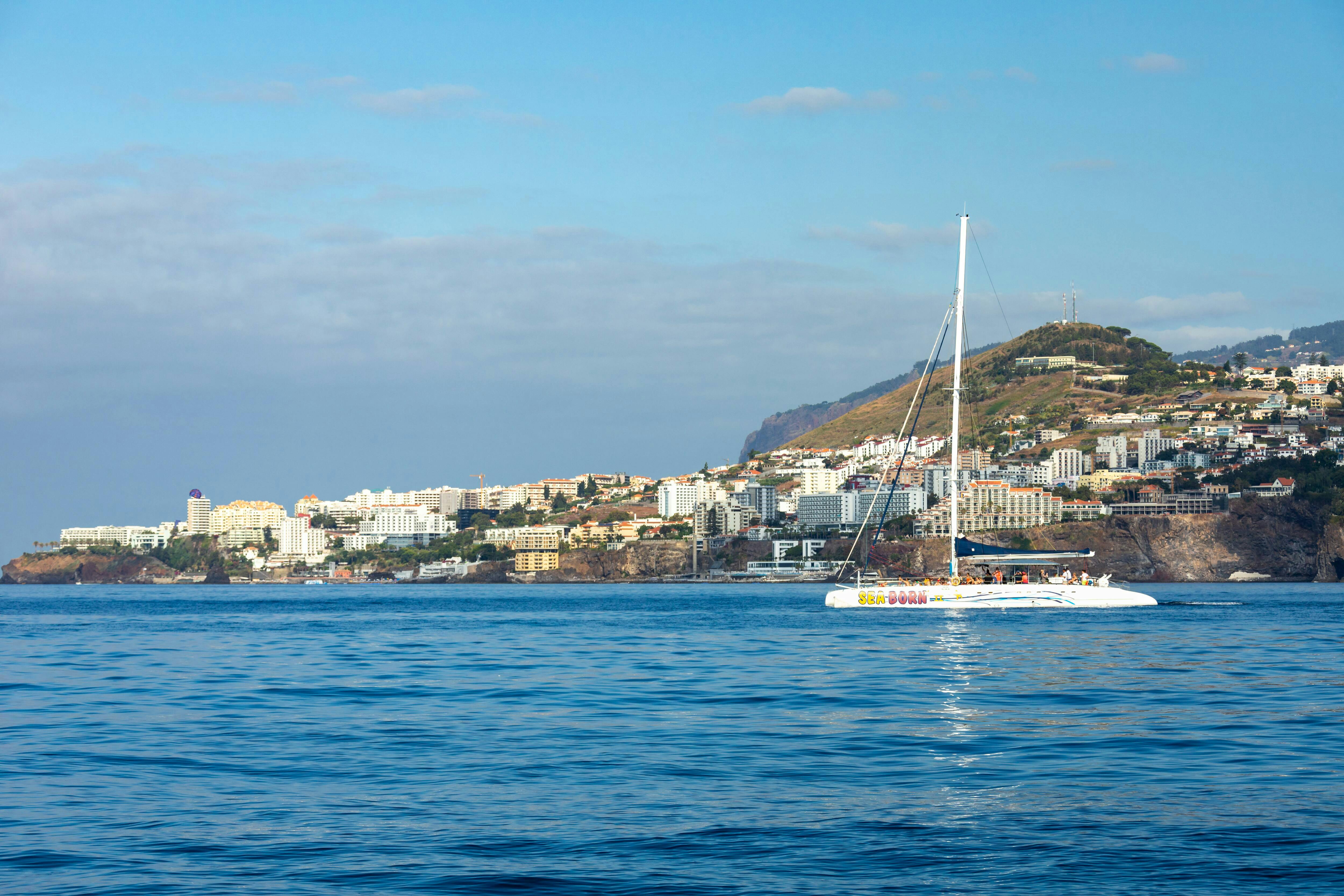 Madeira på bjergtur i firehjulstrækker og bådtur med delfinobservation