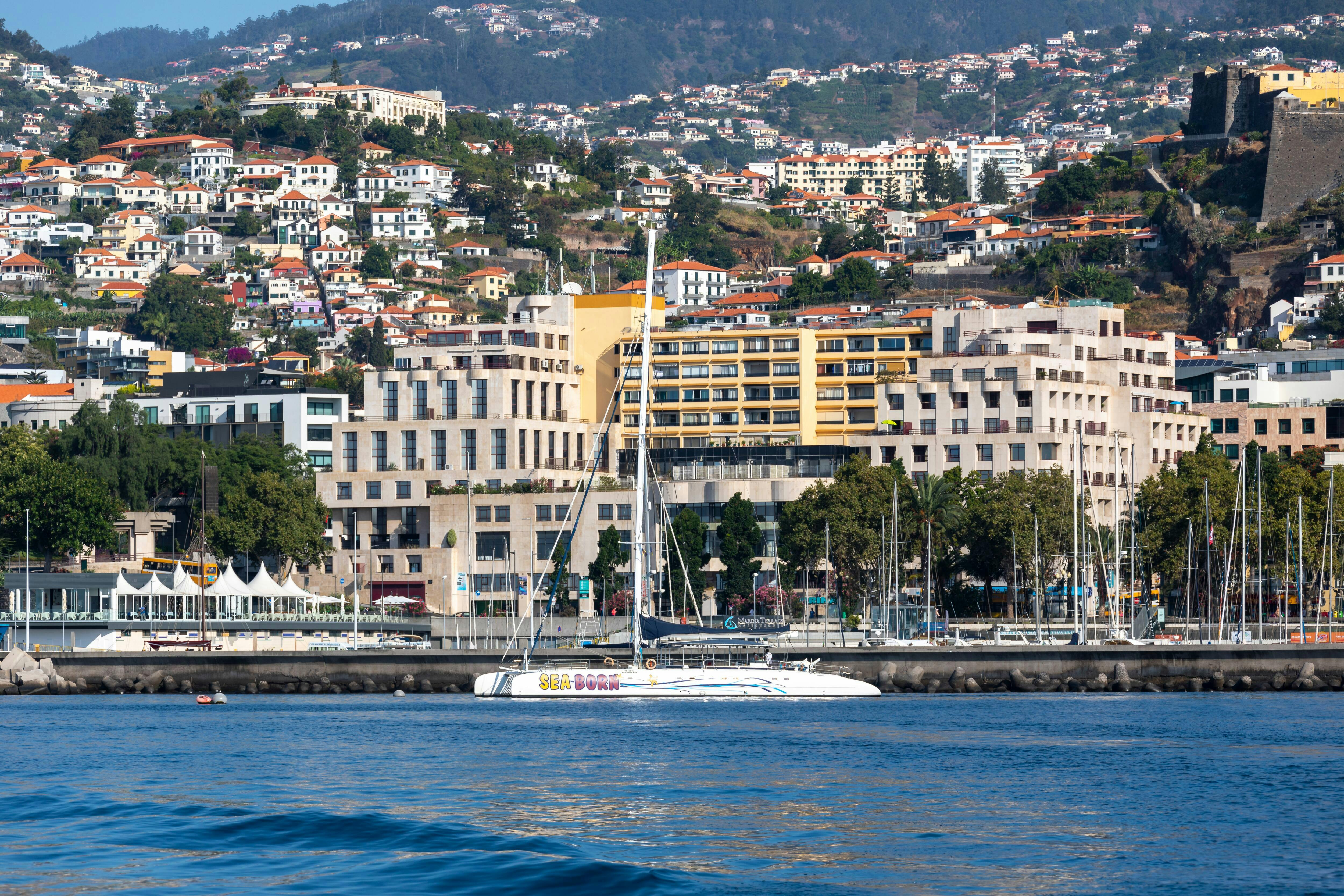 4x4 Madeira Mountain Tour & Dolphin Watching Boat