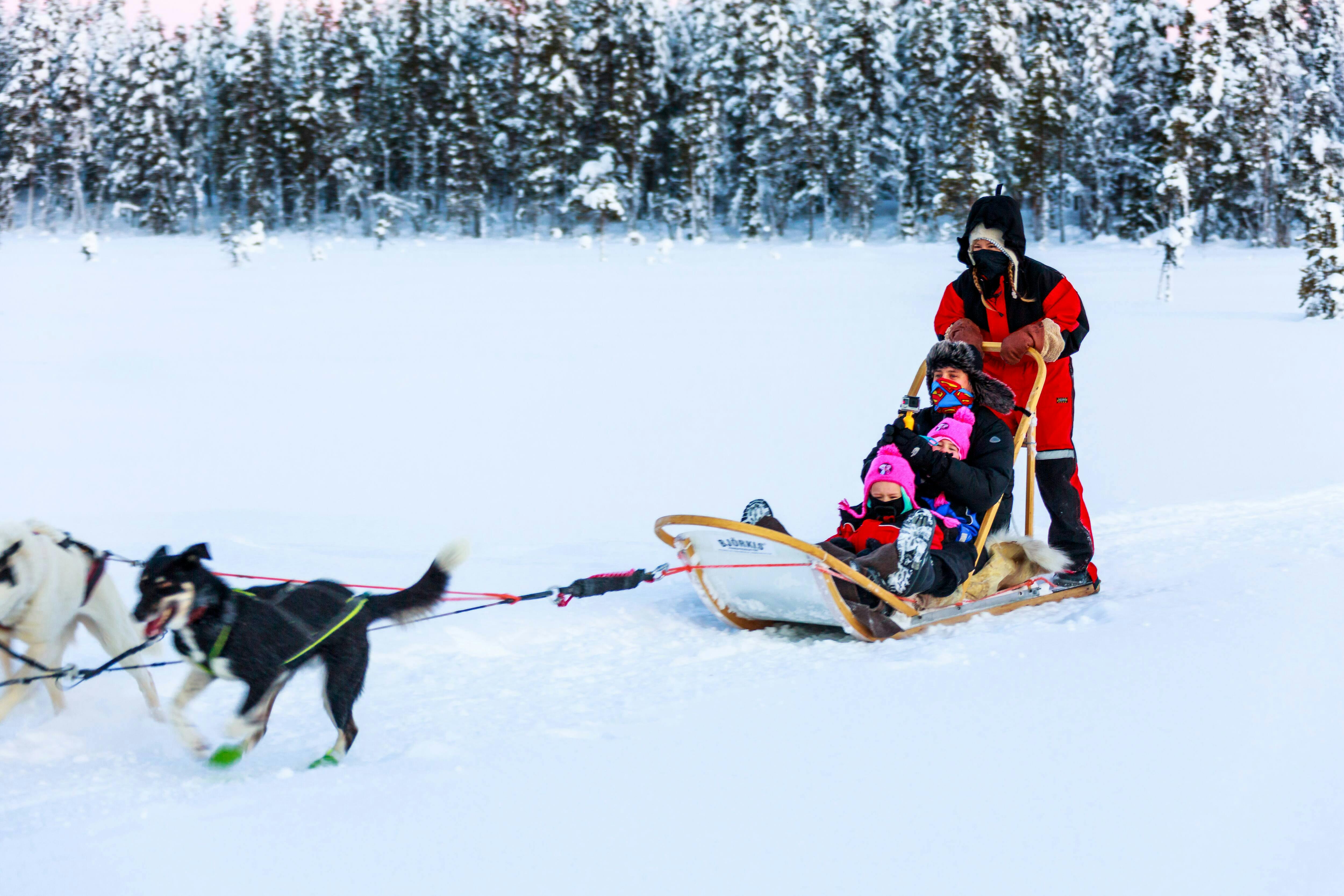 Saariselka Husky Sleigh Tour