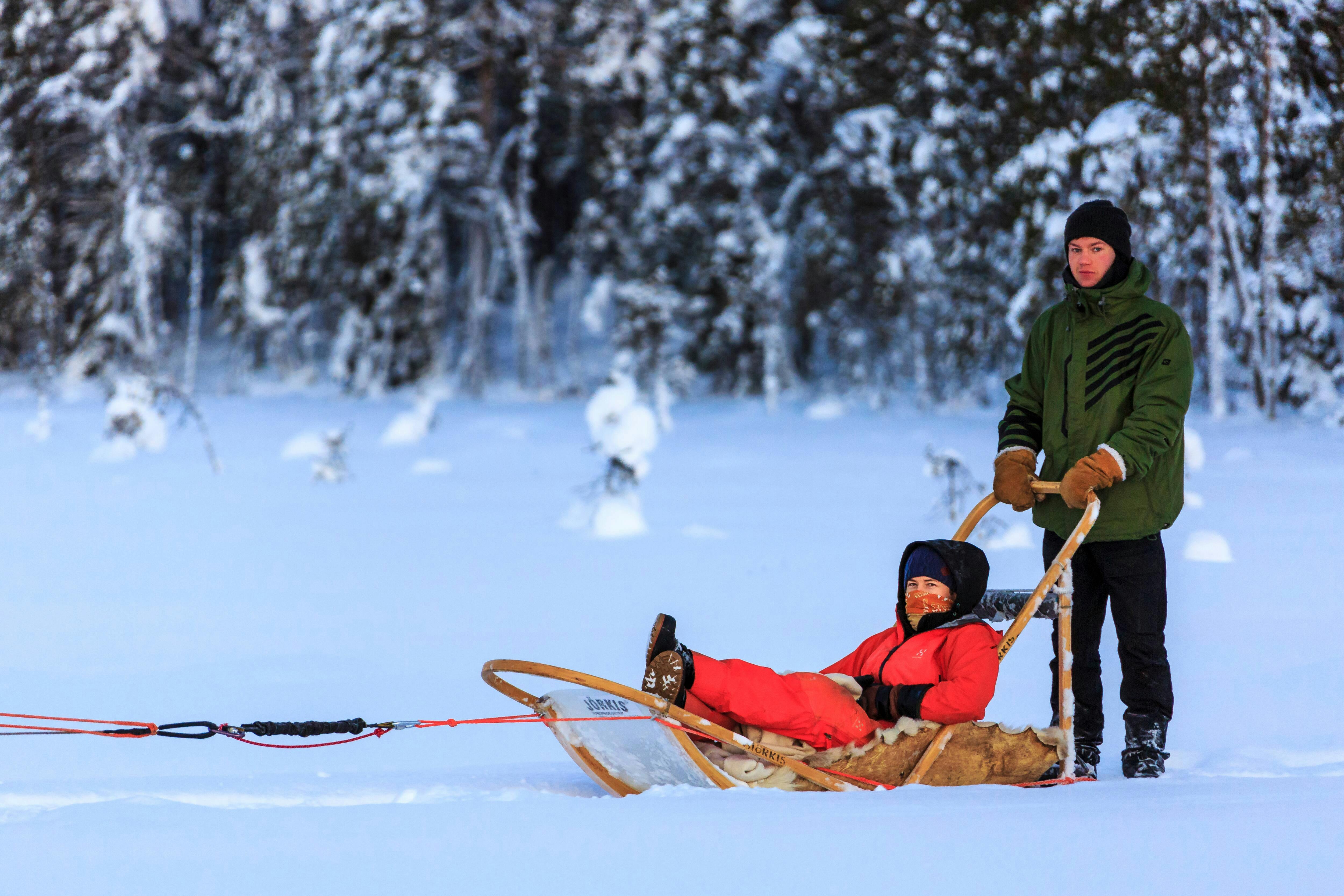 Saariselka Husky Sleigh Tour