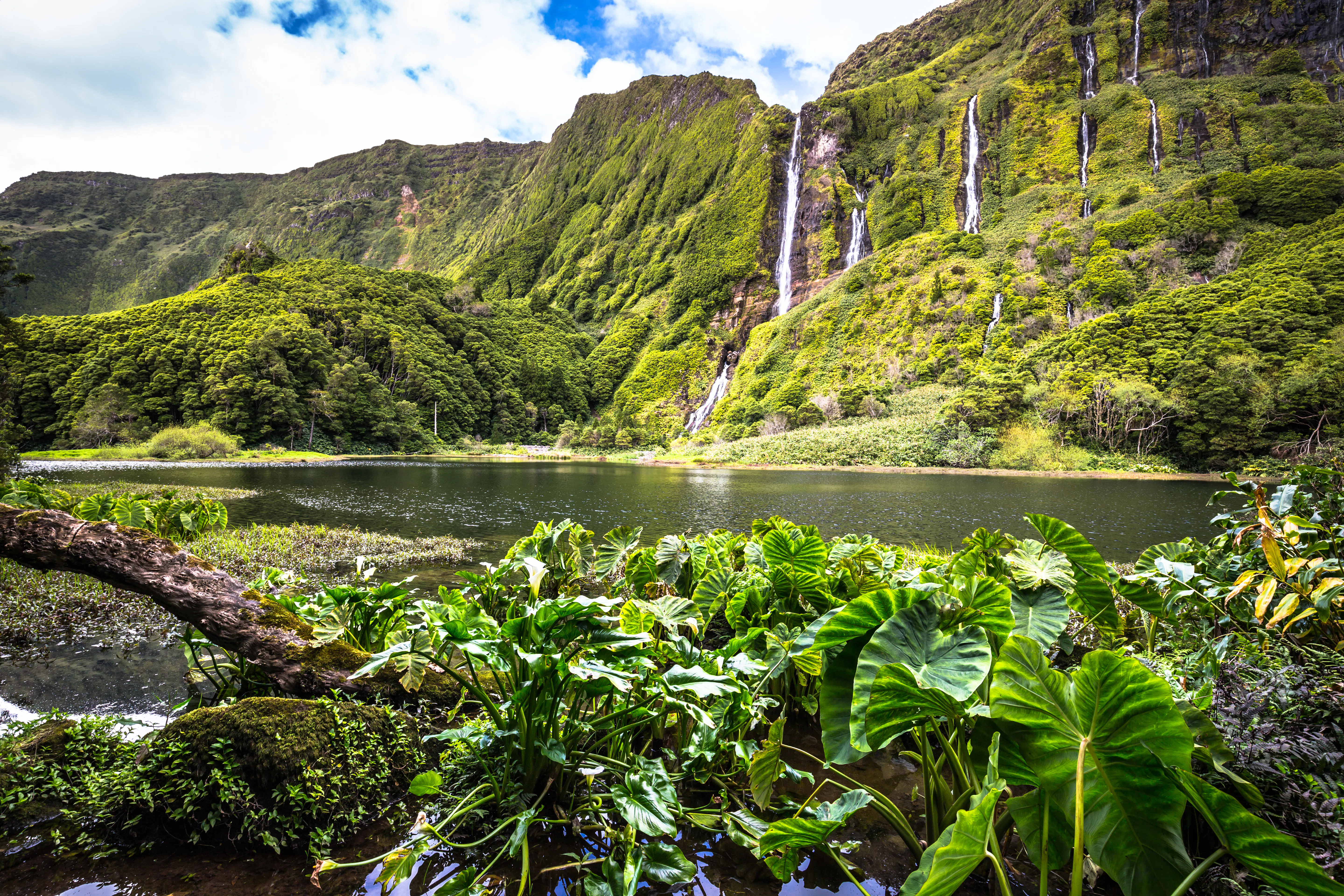 Isla de Flores