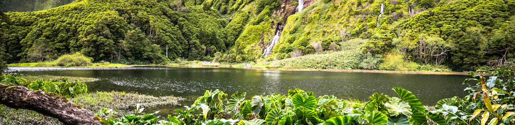 Île de Flores