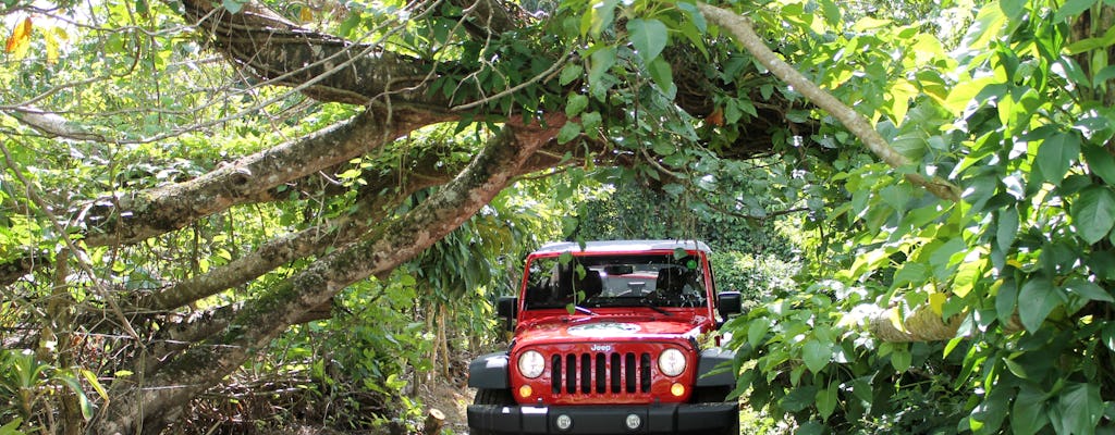 Excursion en 4x4 à Punta Cana avec tyrolienne