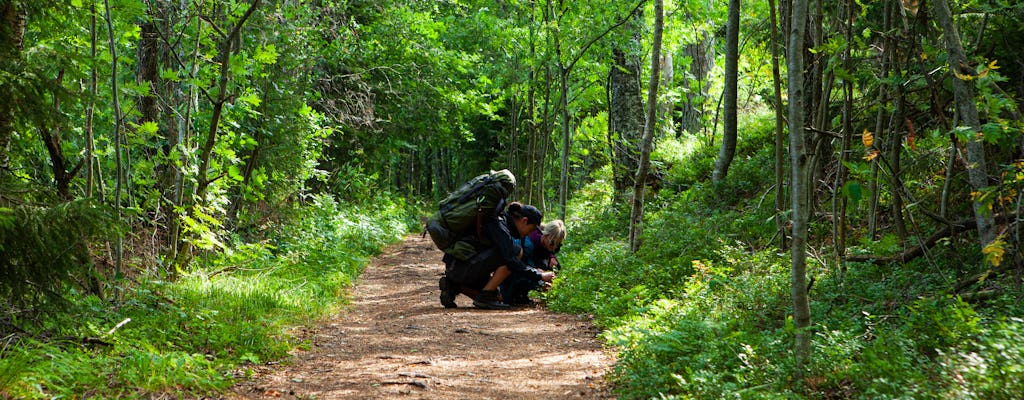 The Cellar in the Forest: foraging tour in Helsinki