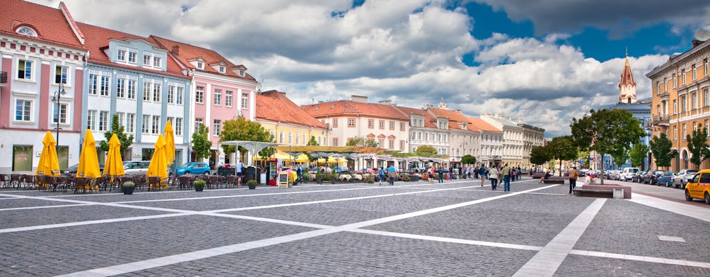 Visite à pied du meilleur de Vilnius