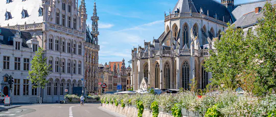 Wycieczka z przewodnikiem z interaktywną grą miejską w Leuven