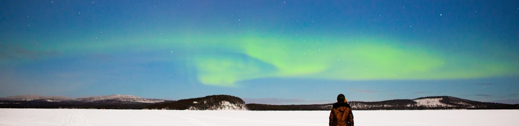 Conheça Inari | musement