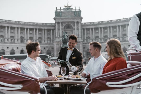 Viena brillante turismo en un carruaje tirado por caballos