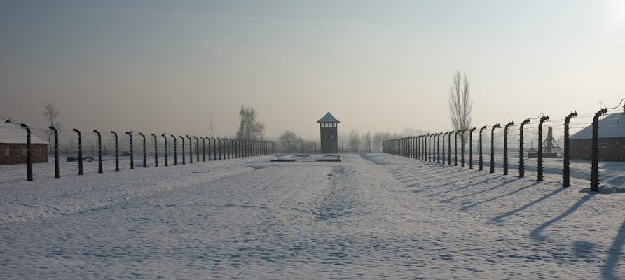 Auschwitz-Tour mit privatem Transport von Katowice