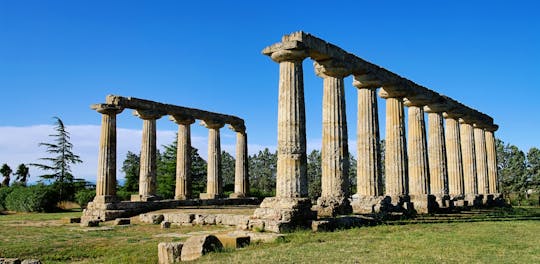 Wycieczka z przewodnikiem po obszarze archeologicznym Metaponto