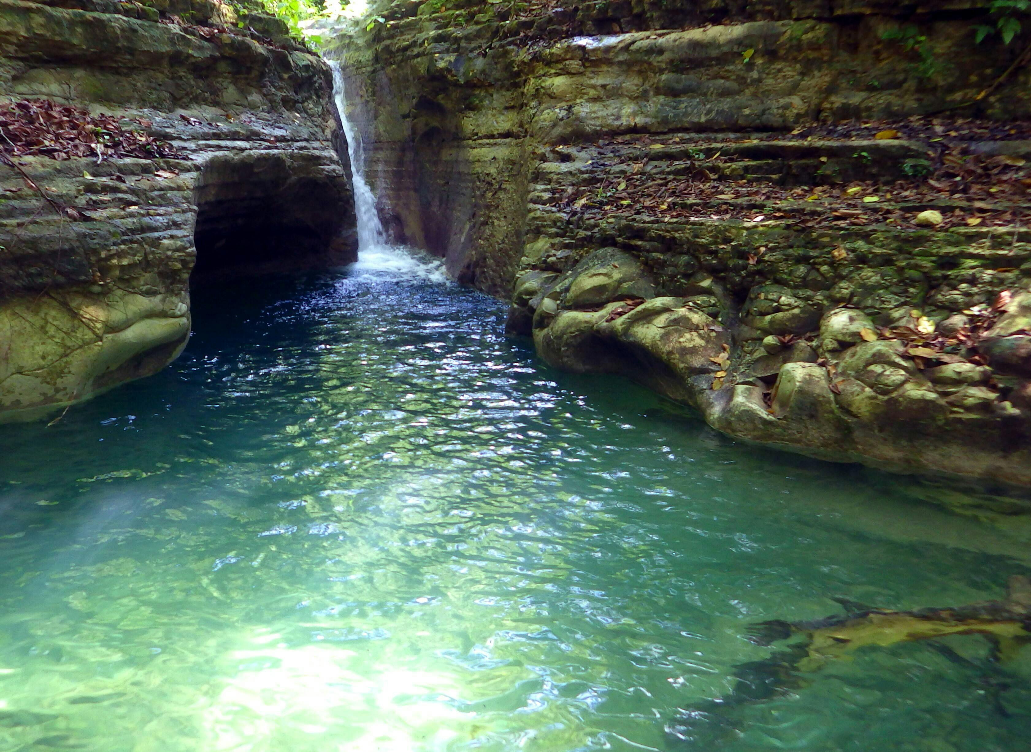 Tour de Campo con Caminata a las Cascadas de Damajagua