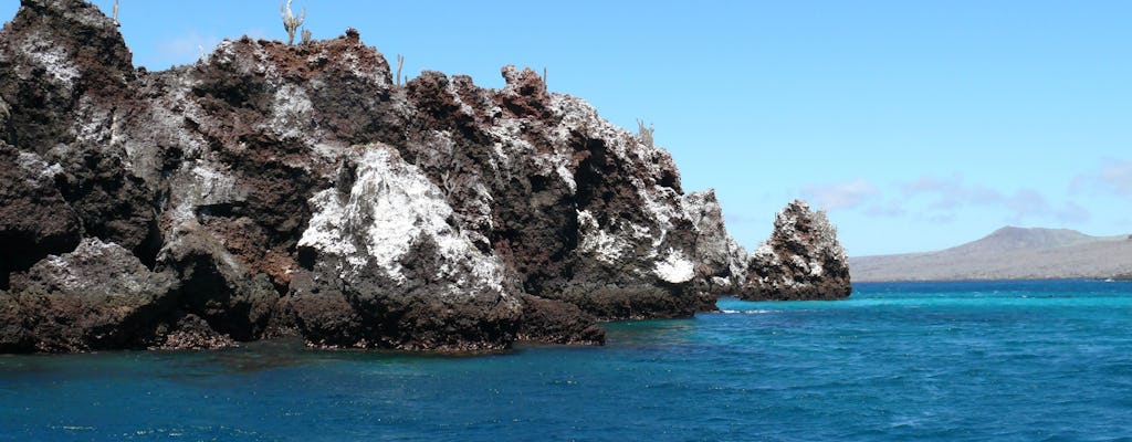 Excursão de dia inteiro à Ilha Pinzón com mergulho com snorkel, pesca e excursão a La Fe