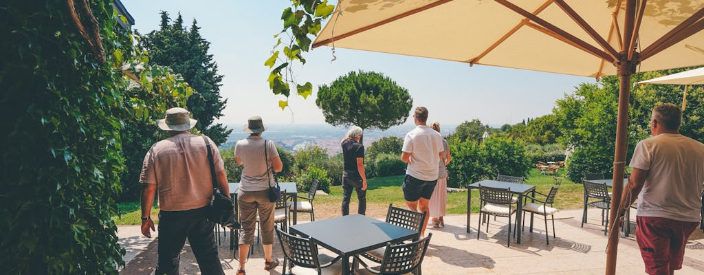 Wycieczka po winnicach Valpolicella i Amarone z jeziora Garda