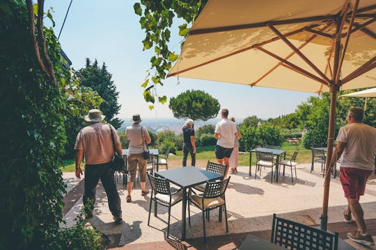 Valpolicella e passeio de vinho Amarone do Lago Garda