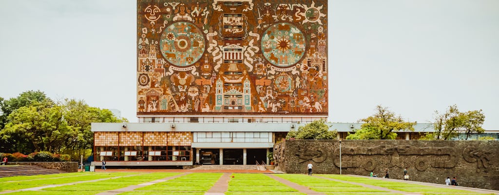 Tour condiviso ai murales di Xochimilco, Coyoacán e UNAM
