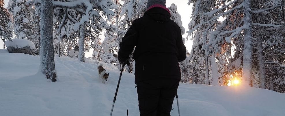 Zimowy spacer w rakietach śnieżnych po lesie z miejscowym biologiem
