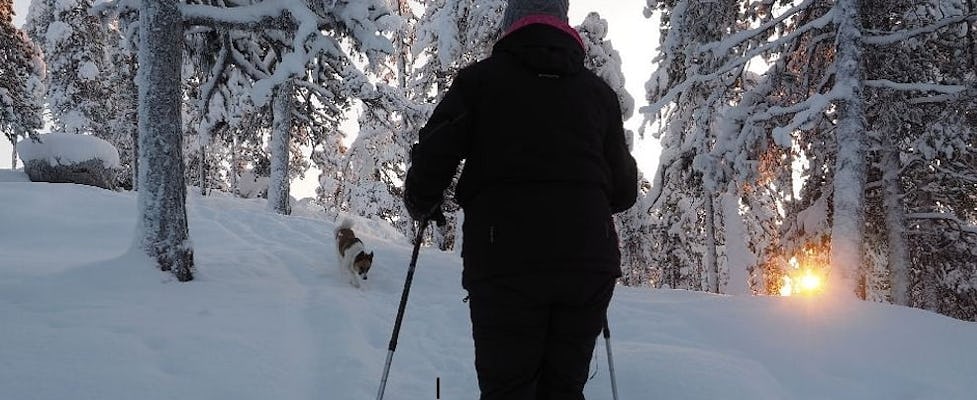 Randonnée hivernale en raquettes à la découverte des bois avec un biologiste local