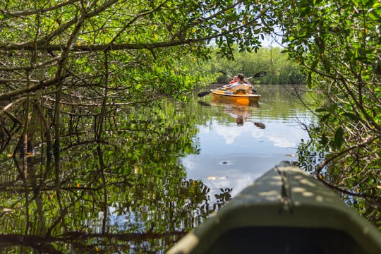 Tour ecologico in kayak del tunnel di mangrovie privato