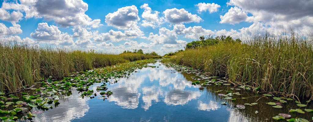 Tour ecologico in kayak di orchidee e alligatori privati