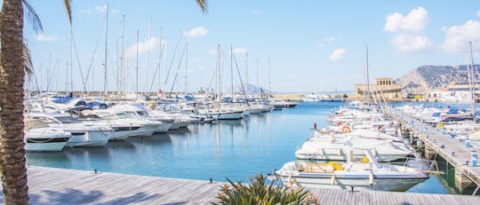 Catamaran-excursie van 3 uur in Calpe