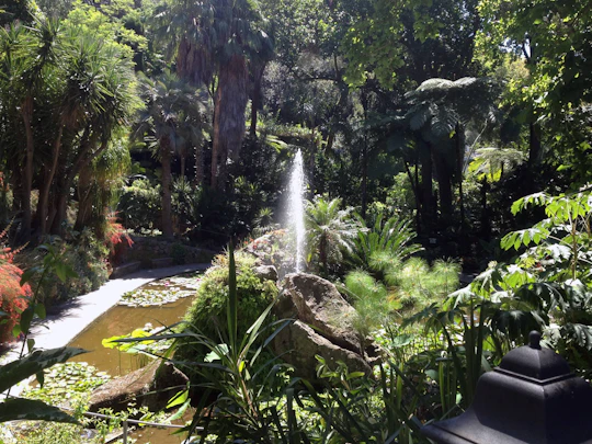 Ischia & La Mortella Gardens Tour