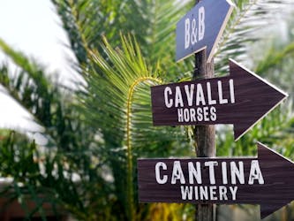Vesuvius Horse Tour & Wine Tasting