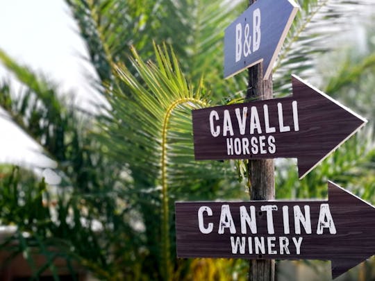 Vesuvius Horse Tour & Wine Tasting