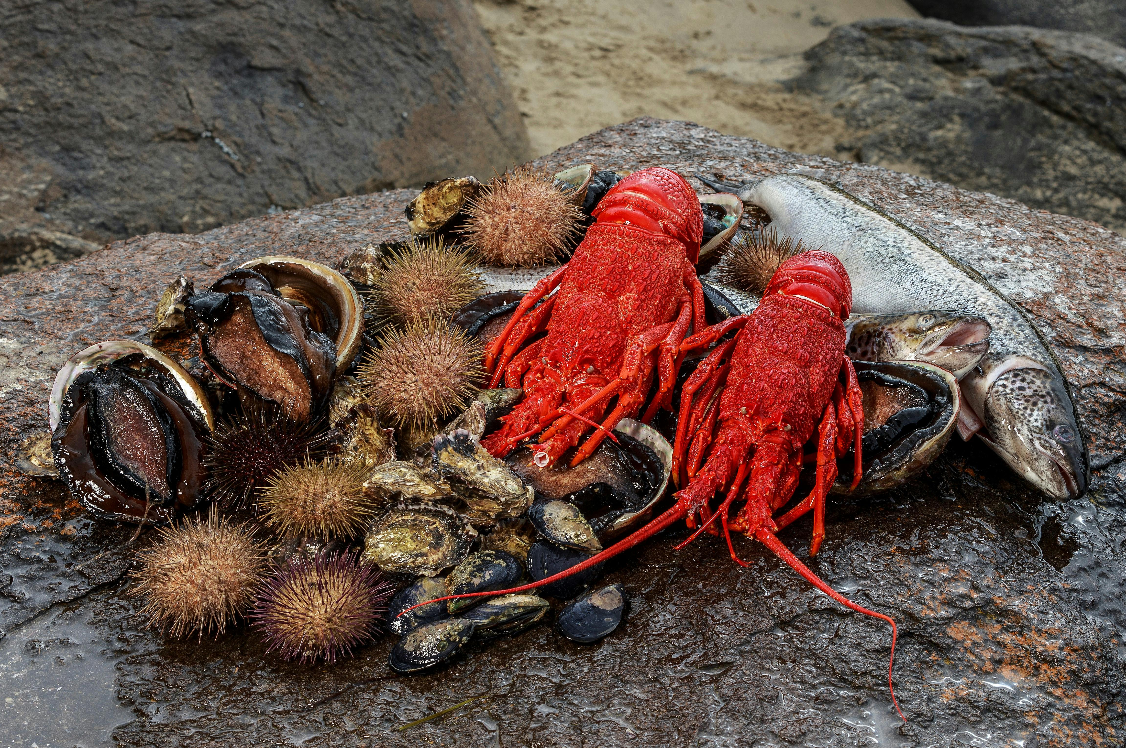 Rejs Tasmanian Seafood Seduction