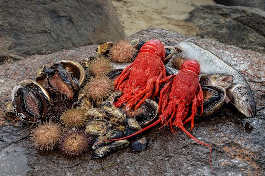 Croisière de séduction aux fruits de mer de Tasmanie