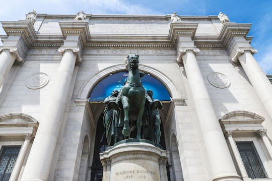 Semi-private American Museum of Natural History skip-the-line tour