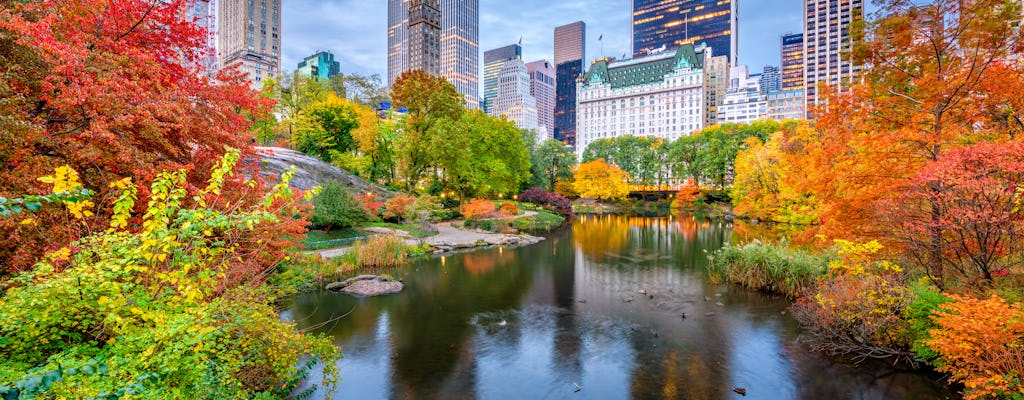 Tour privado a pie por Central Park