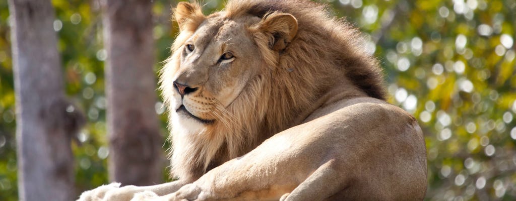 Pafos Zoo Ticket