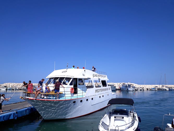 Pafos Zoo Visit & Blue Lagoon Cruise with Local Guide