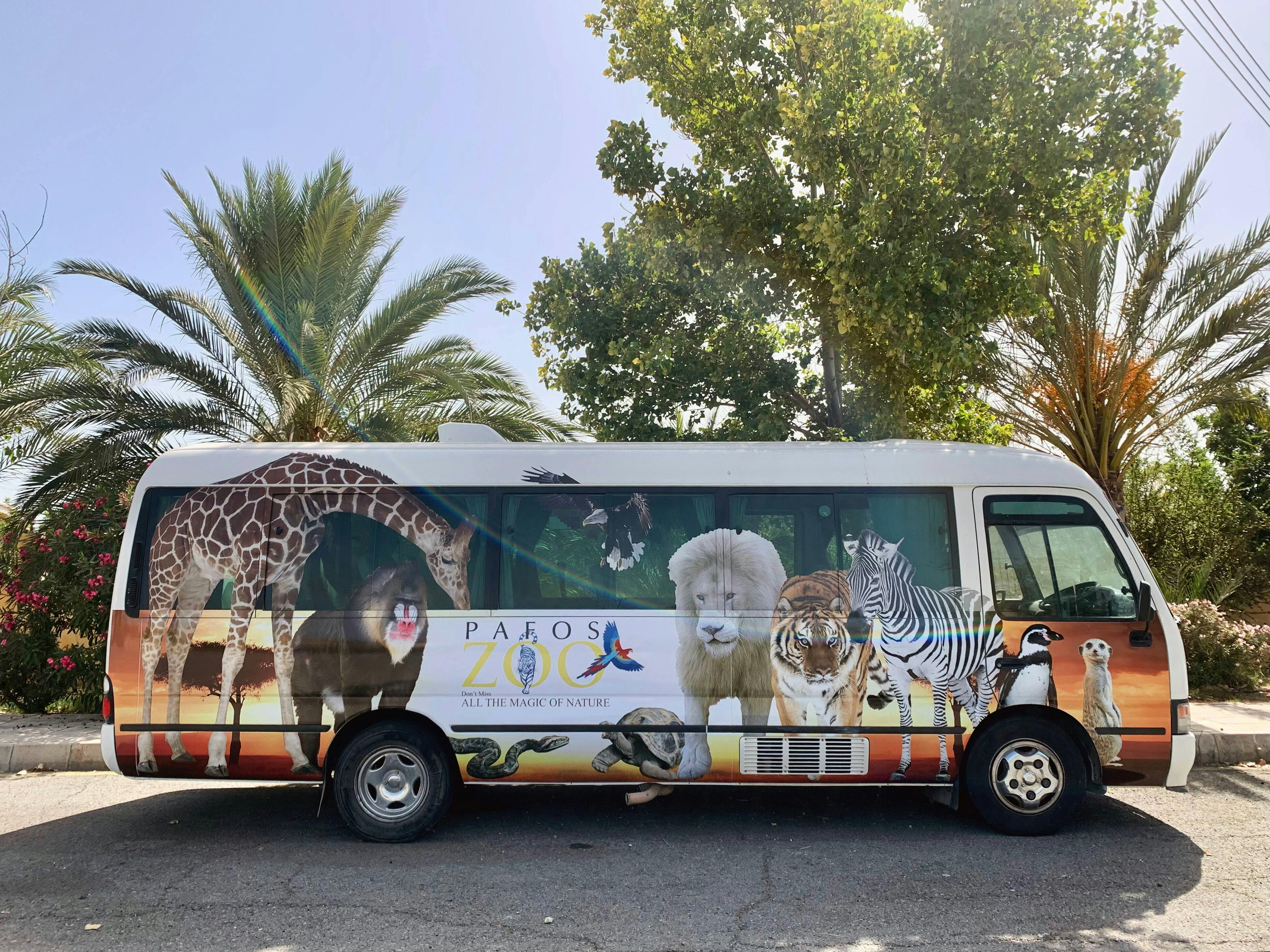 Pafos Zoo Tour