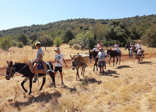 Half-day Donkey Tour with Transport