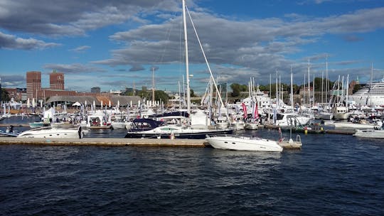 Island hopping experience in the Oslo fjord