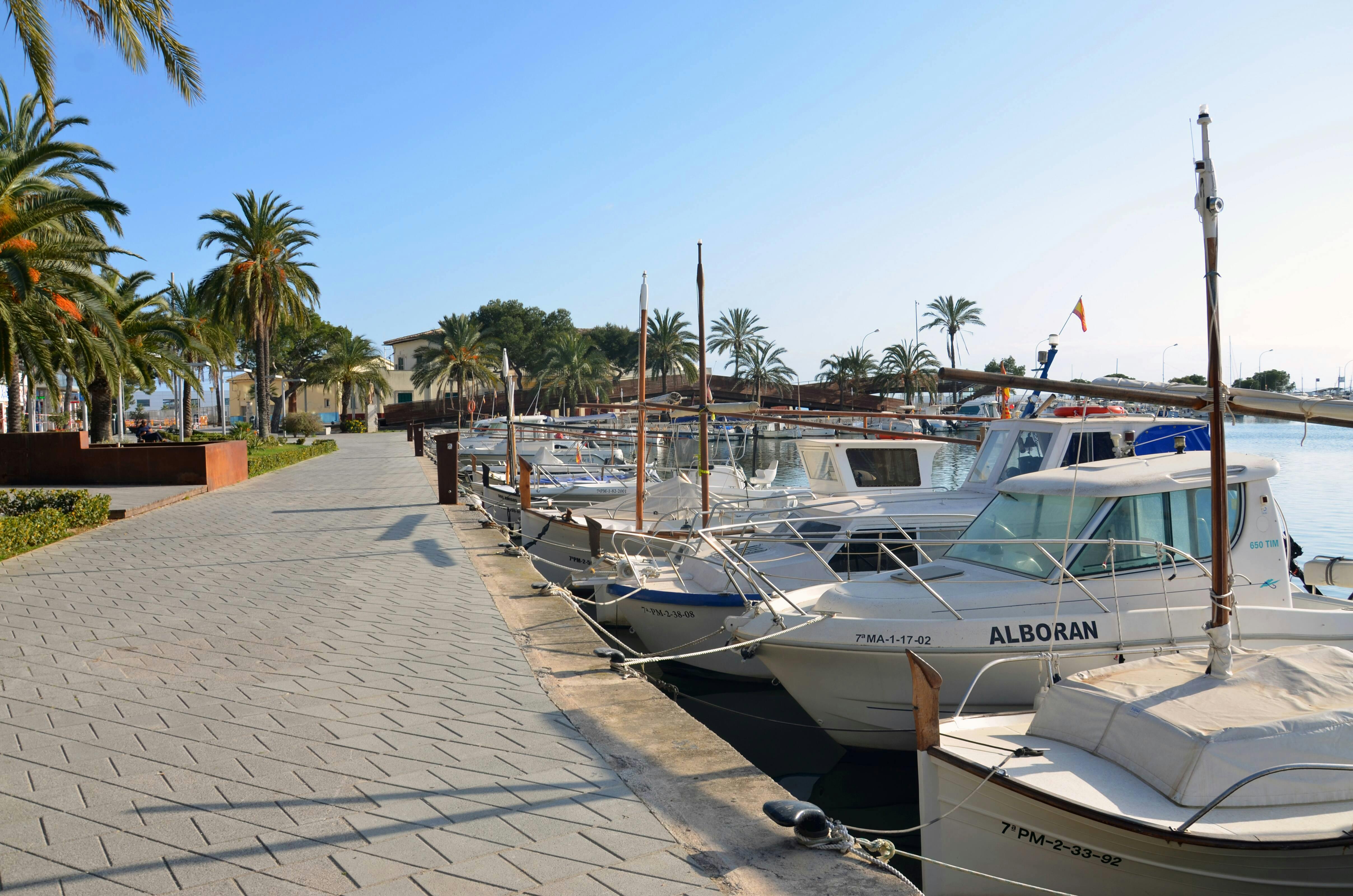 Alcudia Past and Present Bike Tour