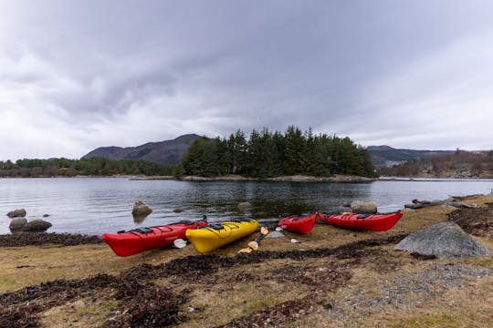 Visite guidée du fjord de Jørpeland en kayak