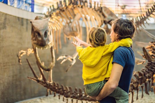 Steinhardt Museum of Natural History with transfer