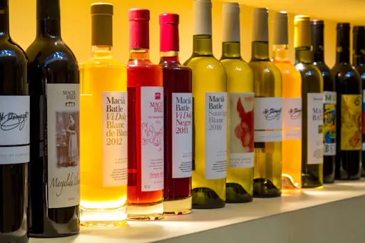 Macià Batle Winery Visit with Tasting