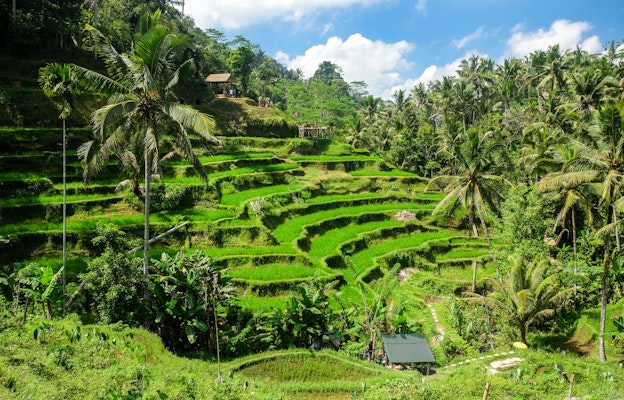 Ubud, Indonesië
