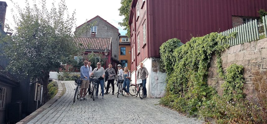 Privé fietstocht van 2 uur in Oslo