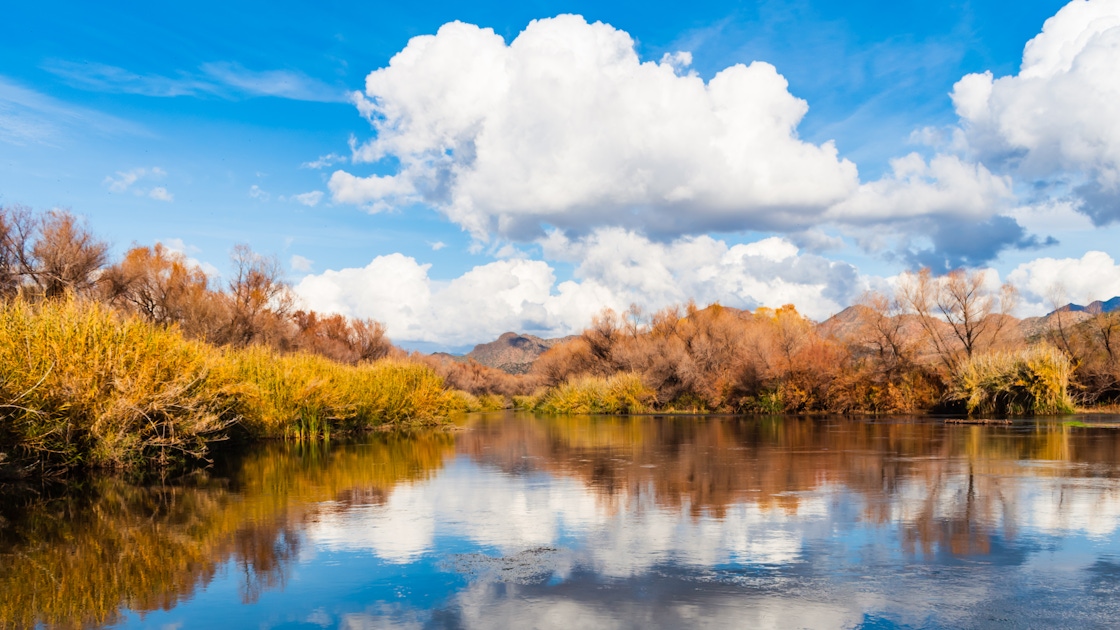 Tubing Madness on the Verde River musement