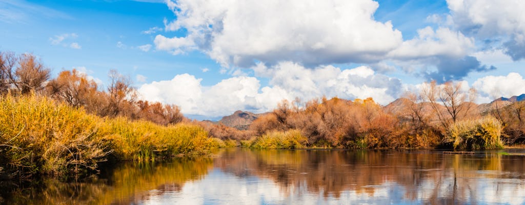 Tubing Madness on the Verde River