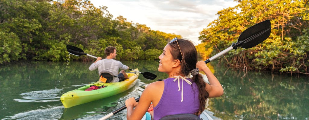 Expérience eau-vin: excursion en kayak et dégustation de vin