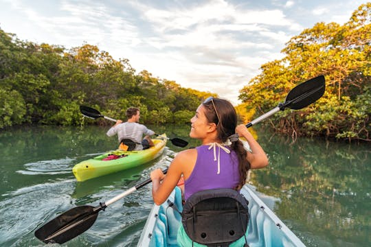 Experiencia de agua a vino: viaje en kayak y cata de vinos
