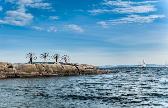 Privé fietstocht van 4 uur in Oslo