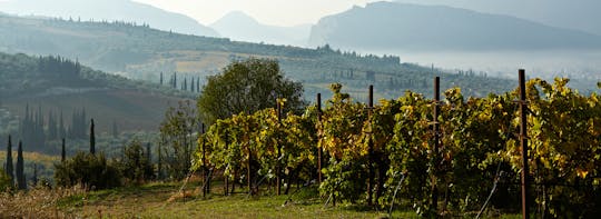 Tour de un día de comida y vino en el Peloponeso